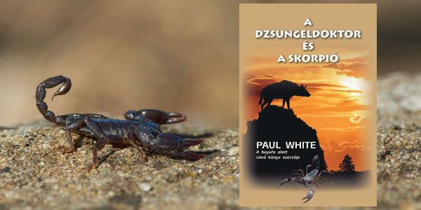 Paul White: A dzsungeldoktor és a skorpió