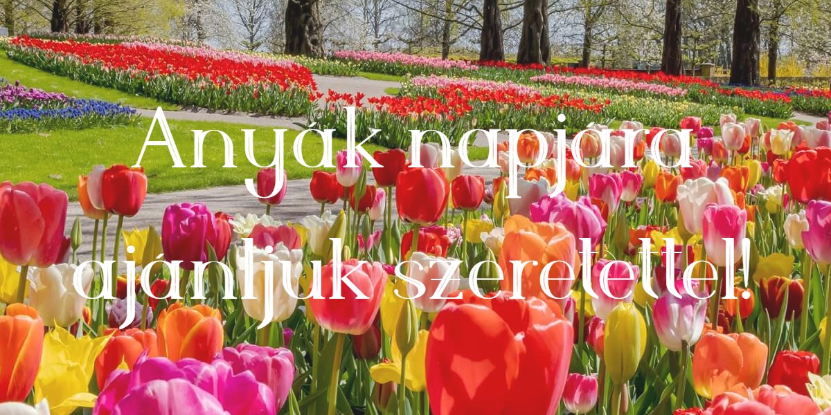 0anyák-napja-250425