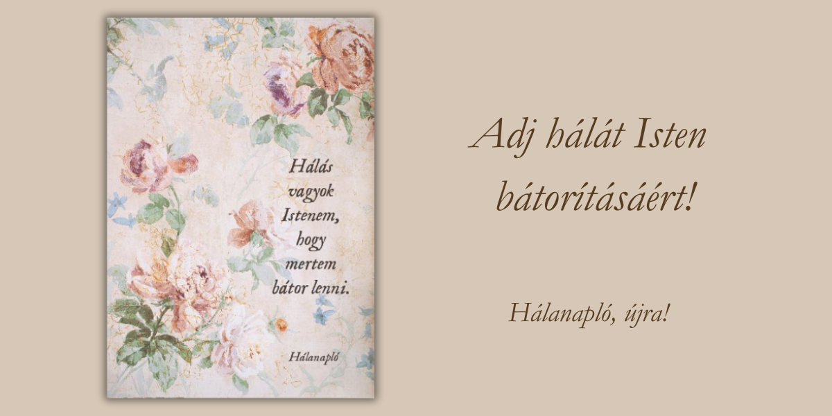 halanaplo-vintage-rozsas-nagy-banner-260424