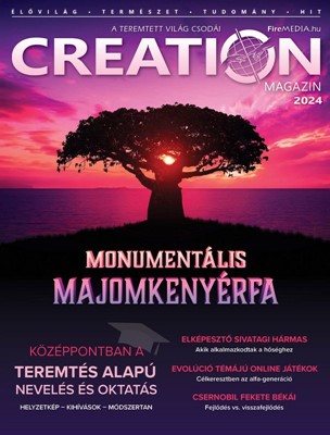 Creation Magazin 2024