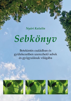 Sebkönyv