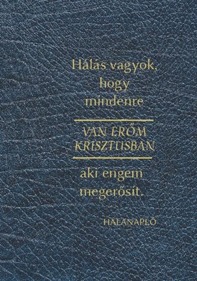 Hálanapló, Mindenre van erőm Krisztusban (kék bőr textúra)
