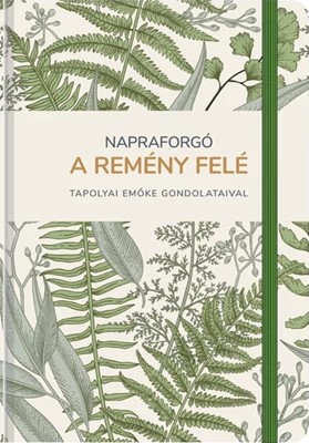 Napraforgó a remény felé