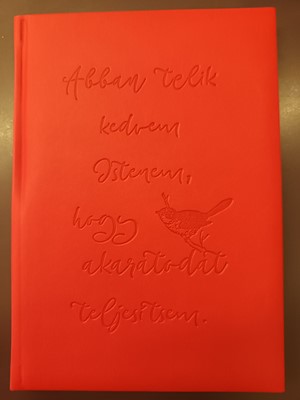 Önismereti napló Abban telik kedvem (piros exkluzív műbőr)