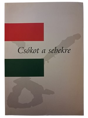 Csókot a sebekre