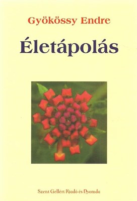 Életápolás (Papír)