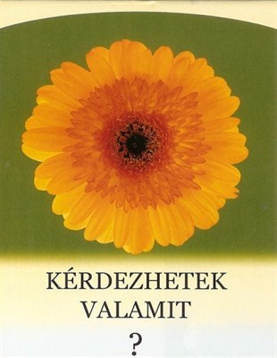 Kérdezhetek valamit? gerbera (Papír)