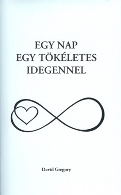 Egy nap egy tökéletes idegennel (kemény)