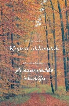 Rejtett áldásutak - A szenvedés iskolája (Papír)