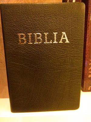 Biblia revideált új fordítás, közepes, bőrkötéssel, aranyszegéllyel, barna (Bőrkötés)