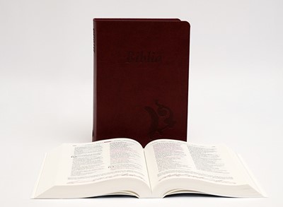 Biblia revideált Károli középméretű, bordó (Műbőr)