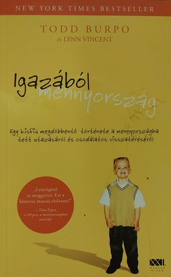 Igazából mennyország (Papír) [Antikvár könyv]