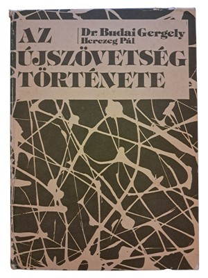 Az újszövetség története (Kemény) [Antikvár könyv]