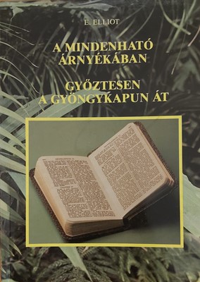 A Mindenható árnyékában - Győztesen a gyöngykapun át (Papír) [Antikvár könyv]