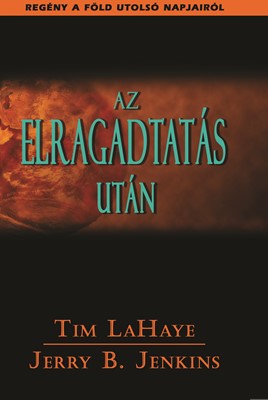 Az elragadtatás után (Papír)