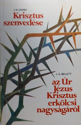 Krisztus szenvedése - Gondolatok az Úr Jézus Krisztus erkölcsi nagyságáról (Papír) [Antikvár könyv]