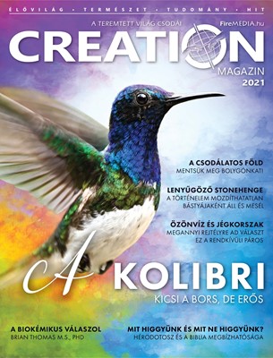 Creation Magazin 2021