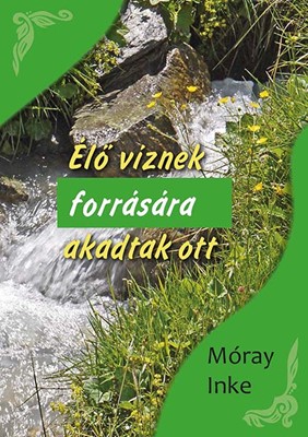 Élő víznek forrására akadtak ott