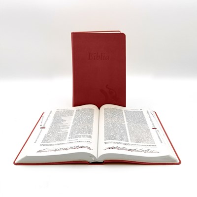 Biblia revideált Károli nagyméretű, bordó (Műbőr)