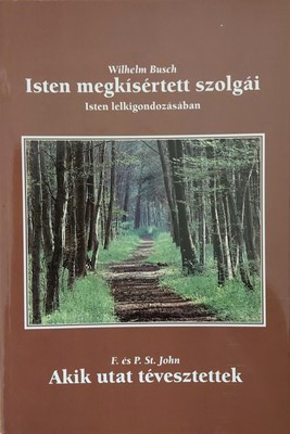 Isten megkísértett szolgái - Akik utat tévesztettek (Papír) [Antikvár könyv]