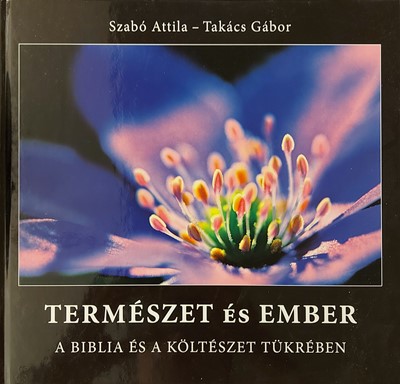 Természet és ember