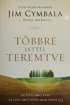 Többre lettél teremtve (Papír) [Antikvár könyv]