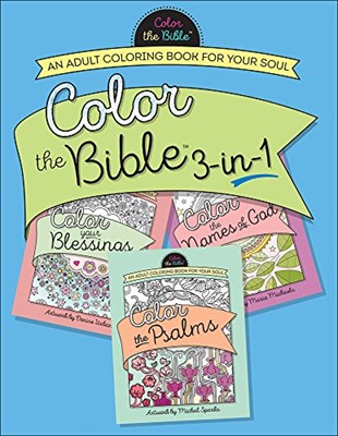 Color the Bible 3 in 1 (Papír) [Book]