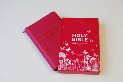 Angol Biblia - New International Version, (Pink, Butterfly, Leatherlike, with Zipper)