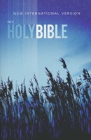 Angol Biblia New International Version Outreach Edition New Testament, Blue (Paperback)