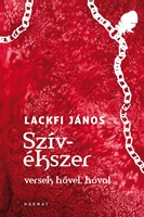 Szívékszer (keménytáblás)