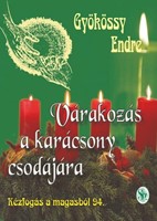 Várakozás a karácsony csodájára (Füzetkapcsolt)