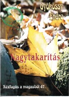 Nagytakarítás