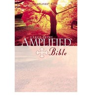 Angol Biblia Amplified Bible Large Print