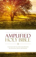 Angol Biblia Amplified Holy Bible PB (Papír)