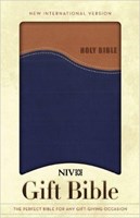 Angol Biblia New International Version Gift Bible Tan/Blue (Imitation Leather)