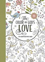 The Color of God's Love (Paperback)
