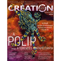 Creation Magazin 2020 (Füzetkapcsolt)