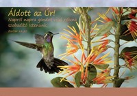 Képeslap-csomag Kolibri