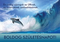 Születésnapos képeslap-csomag Delfin