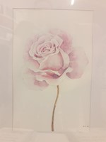 Akvarell festmény Pasztell rózsa (Keretezett)