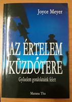 Az értelem küzdőtere