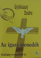 Kézfogás a magasból 31. - Az igazi menedék (Füzetkapcsolt) [Antikvár könyv]