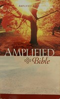 Amplified Bible (Papír) [Antikvár könyv]