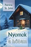 Nyomok a hóban (Papír) [Book]