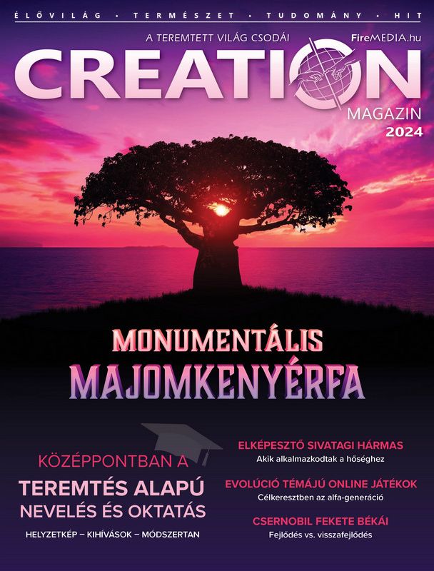 Creation Magazin 2024