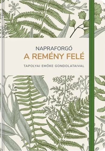 Napraforgó a remény felé