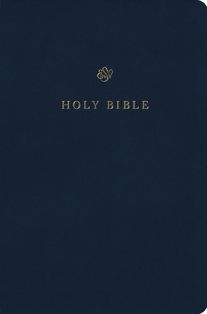 Angol Biblia ESV Gift and Award Bible, Blue