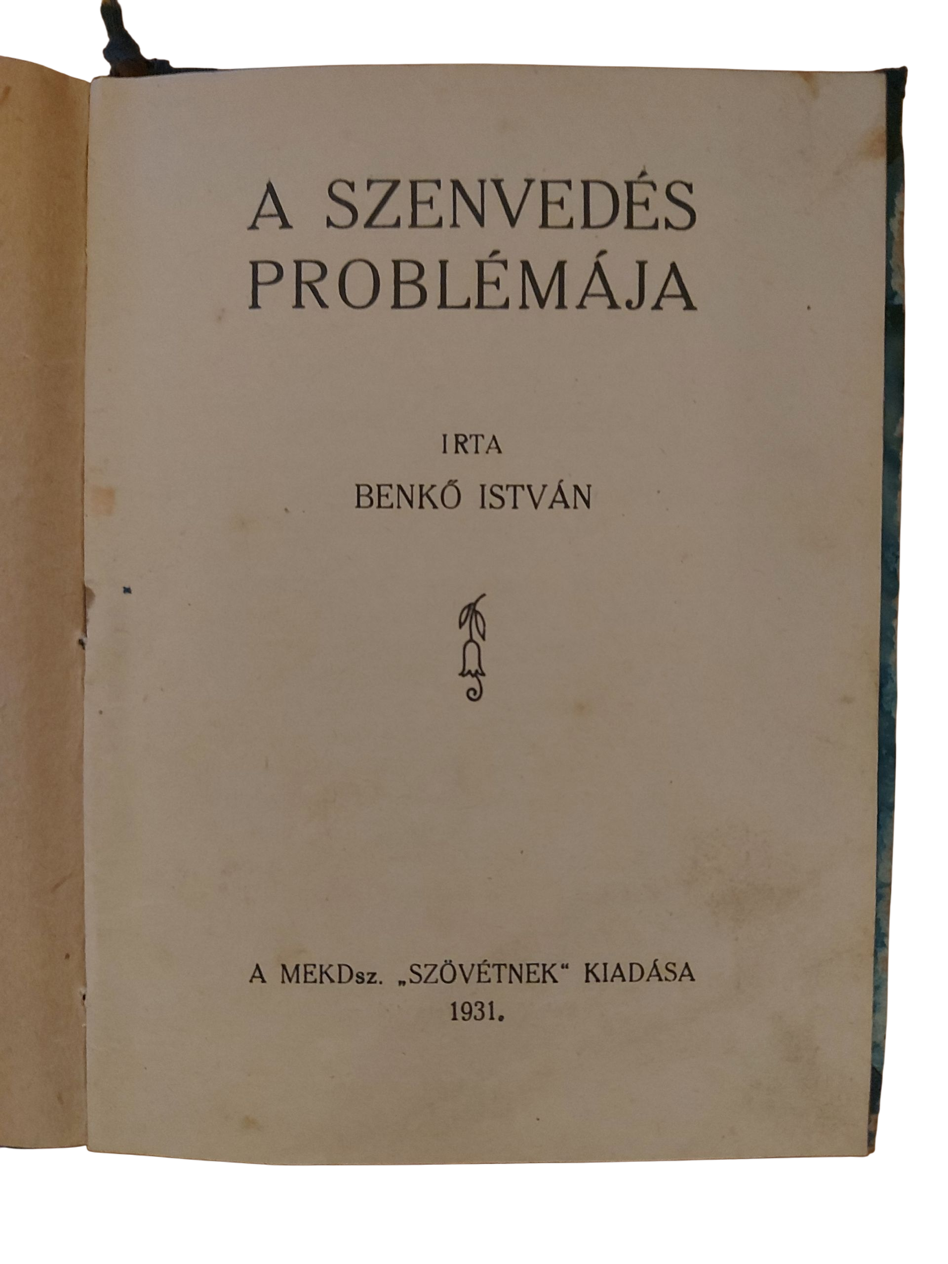A szenvedés problémája