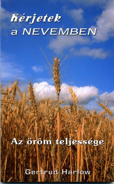Kérjetek a nevemben - Az öröm teljessége