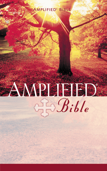 Angol Biblia Amplified Paperback